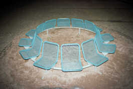 perception and misperception 