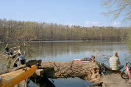 perception and misperception 