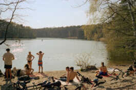 perception and misperception 