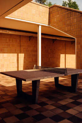 perception and misperception 