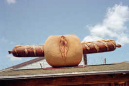 perception and misperception 