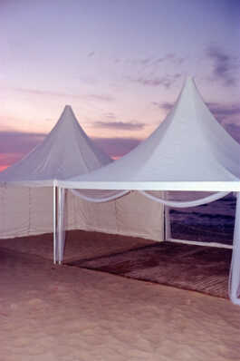 perception and misperception 