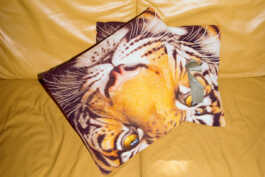 perception and misperception 