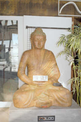 perception and misperception 