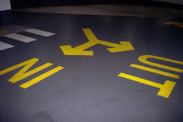 perception and misperception 