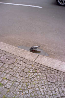 perception and misperception 