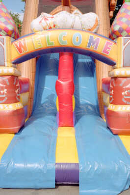 perception and misperception 