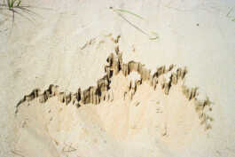 perception and misperception 