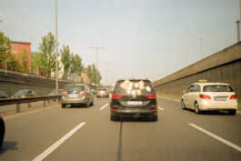 perception and misperception 