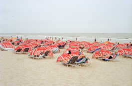 perception and misperception 