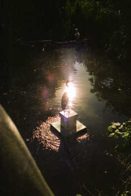 perception and misperception 