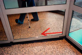 perception and misperception 