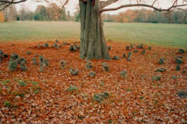 perception and misperception 