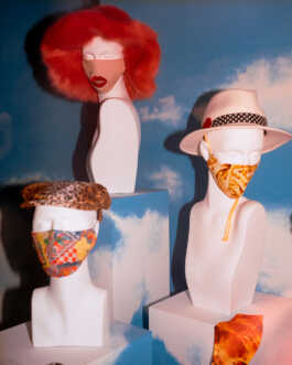 perception and misperception 