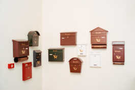 perception and misperception 