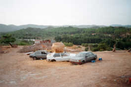 perception and misperception 