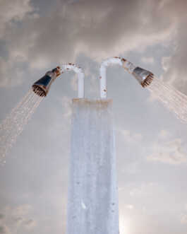 perception and misperception 