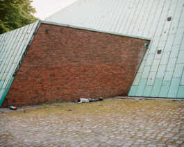 perception and misperception 