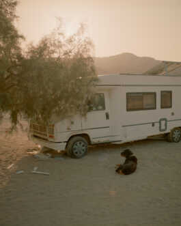 perception and misperception 