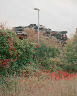 perception and misperception 