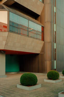 perception and misperception 