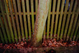 perception and misperception 