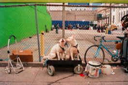 perception and misperception 