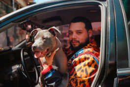 perception and misperception 