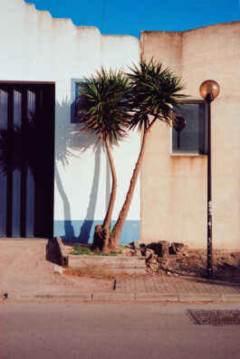 perception and misperception 