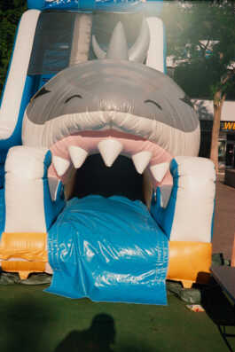 perception and misperception 