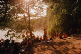 perception and misperception 