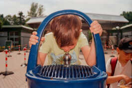 perception and misperception 