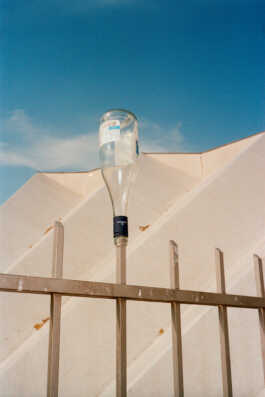 perception and misperception 