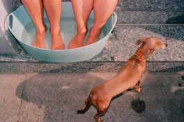 perception and misperception 