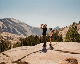 perception and misperception 