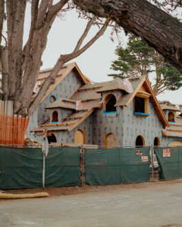 perception and misperception 