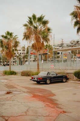 perception and misperception 