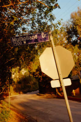 perception and misperception 