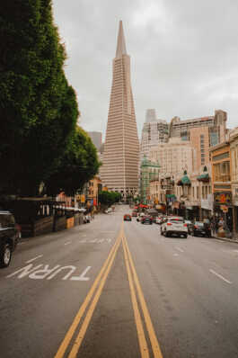 perception and misperception 