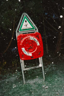 perception and misperception 