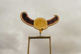 perception and misperception 