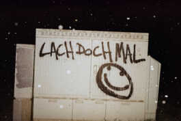 perception and misperception 