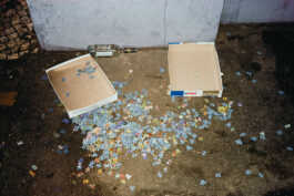 perception and misperception 