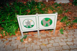 perception and misperception 