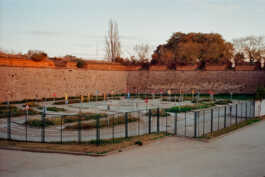 perception and misperception 