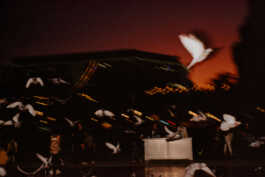 perception and misperception 