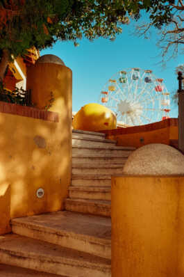 perception and misperception 