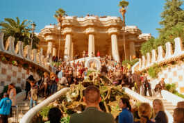 perception and misperception 