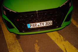 perception and misperception 