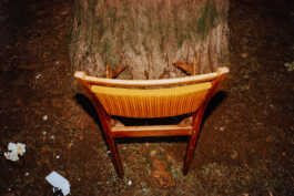 perception and misperception 